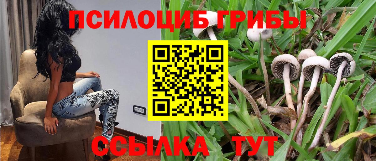 Псилоцибиновые грибы мухоморы  Вход с VPN  Серов 
