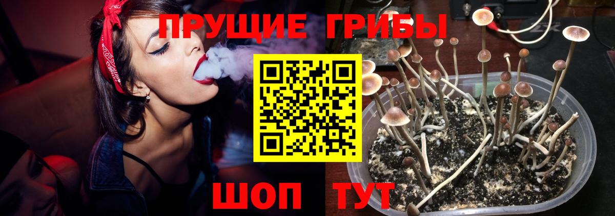 Галлюциногенные грибы Psilocybine cubensis Серов